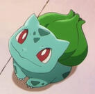 Bulbasaur!